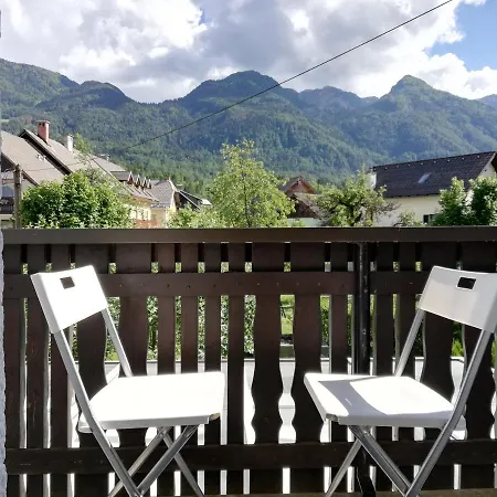 Apartma Vojvoda * Bohinj