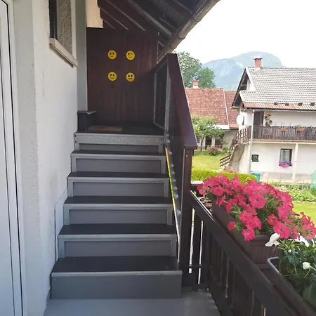 Apartma Vojvoda *