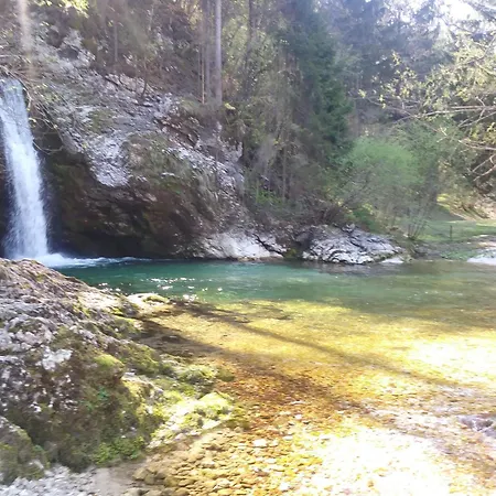 Apartma Vojvoda Lägenhet *