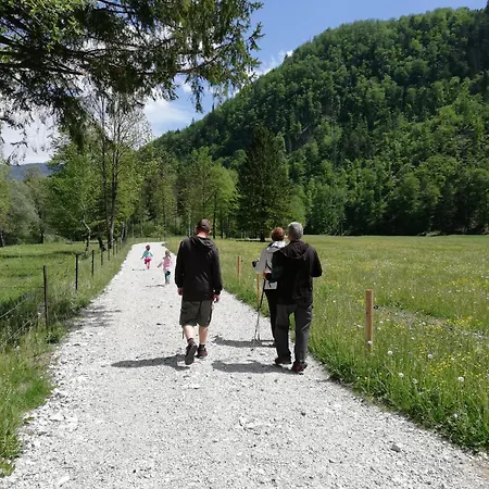 Apartma Vojvoda * Bohinj