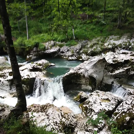 Apartma Vojvoda