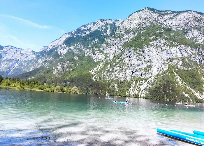 Apartma Vojvoda Daire