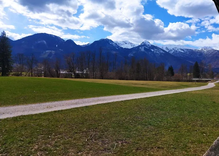 Apartma Vojvoda Daire Bohinj