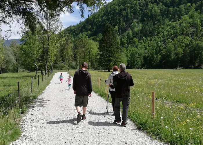 Apartma Vojvoda * Bohinj