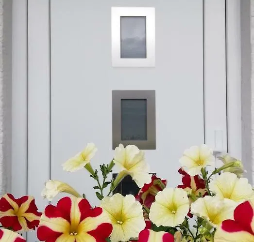 Apartma Vojvoda Daire